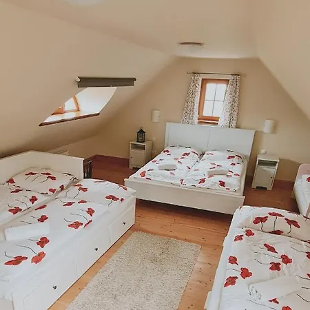 Gæstehus Red Lion Vendeghaz 4*